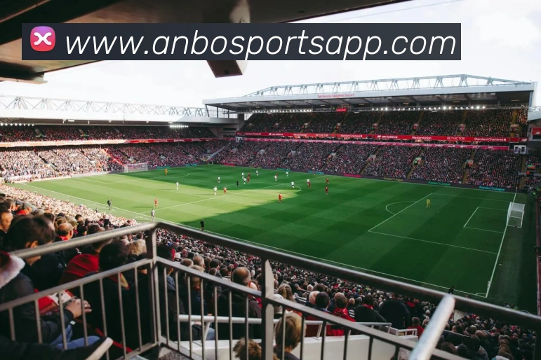 App Interface Preview