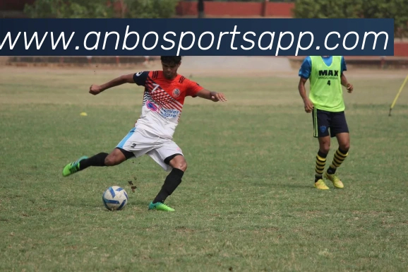 安博体育APP 封面图